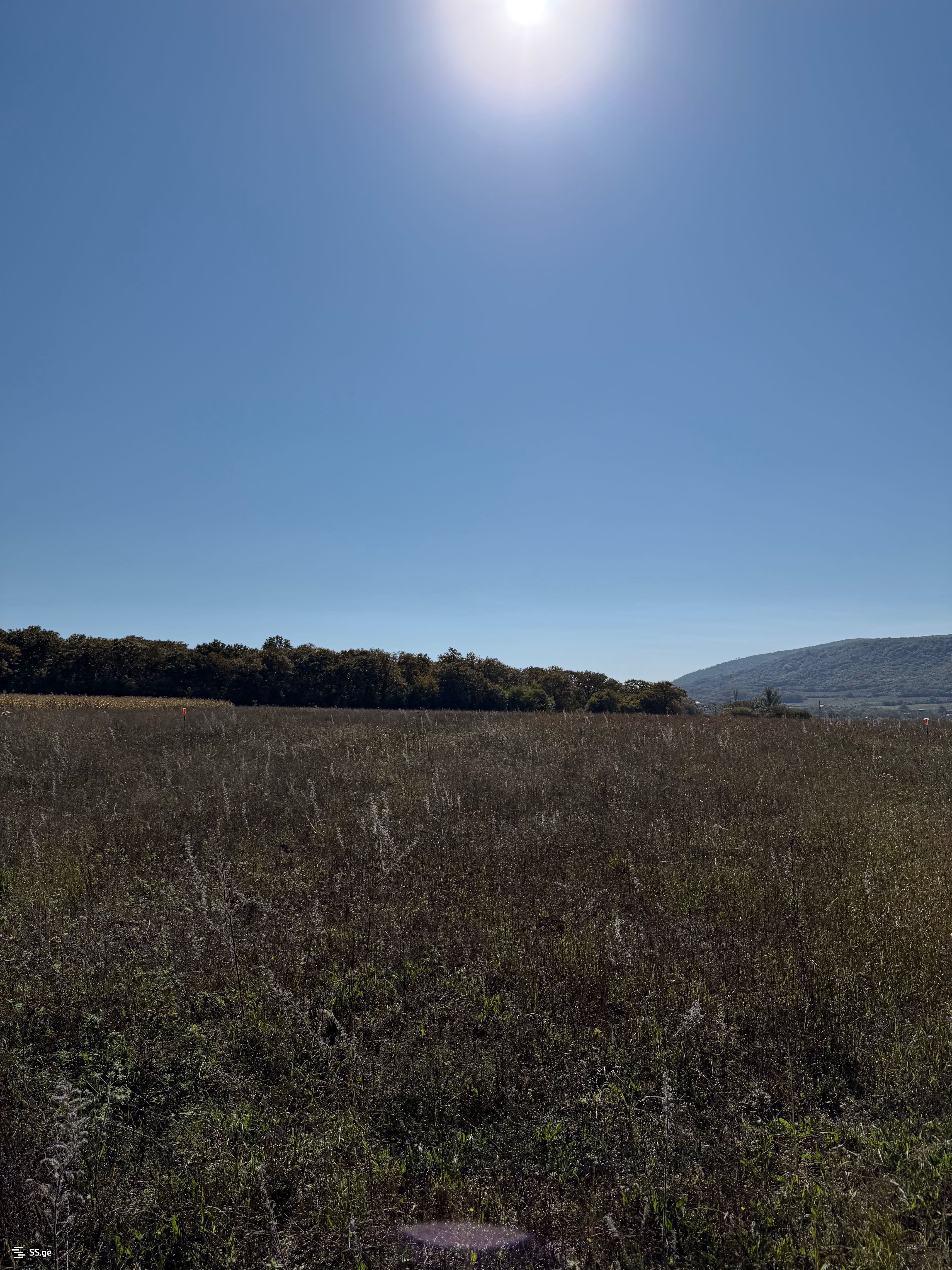 Agricultural Plot For Sale Near Bazalet Lake, In Dusheti Municipality view 8
