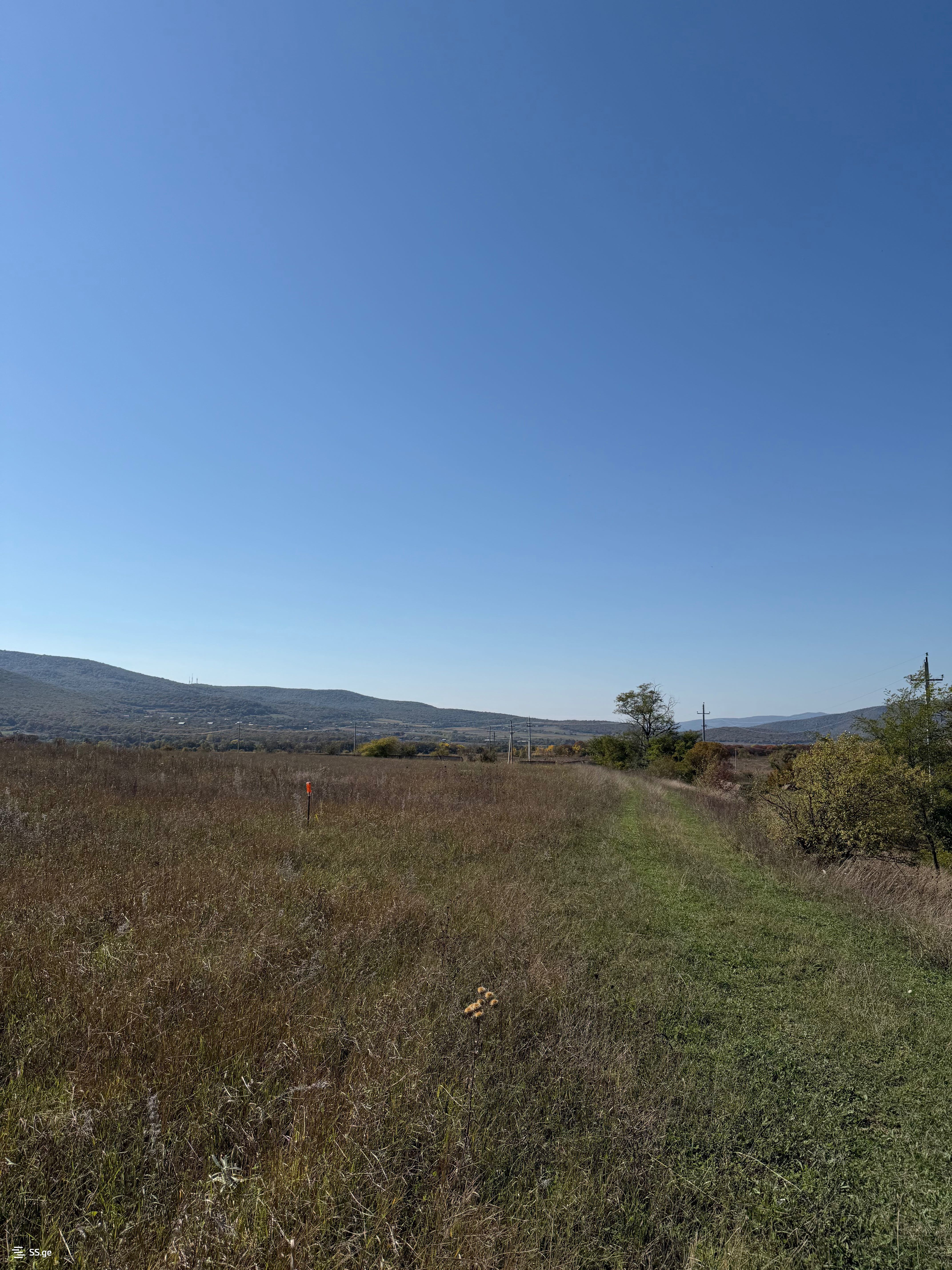 Agricultural Plot For Sale Near Bazalet Lake, In Dusheti Municipality view 11