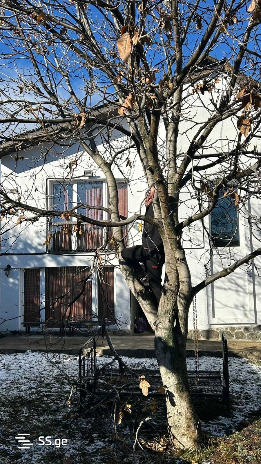 12 room Hotel For Sale. Bakuriani