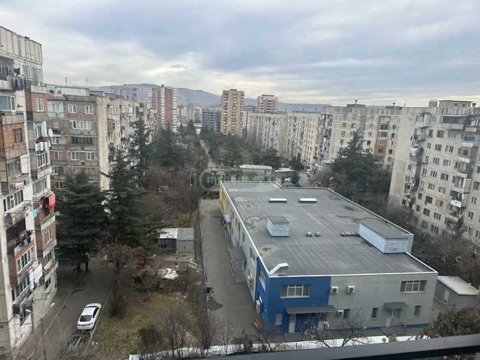 https://static.ss.ge/20260112/7_6ad20e83-a9dd-4d6a-81ff-fd0eaeba32e7_Thumb.jpg