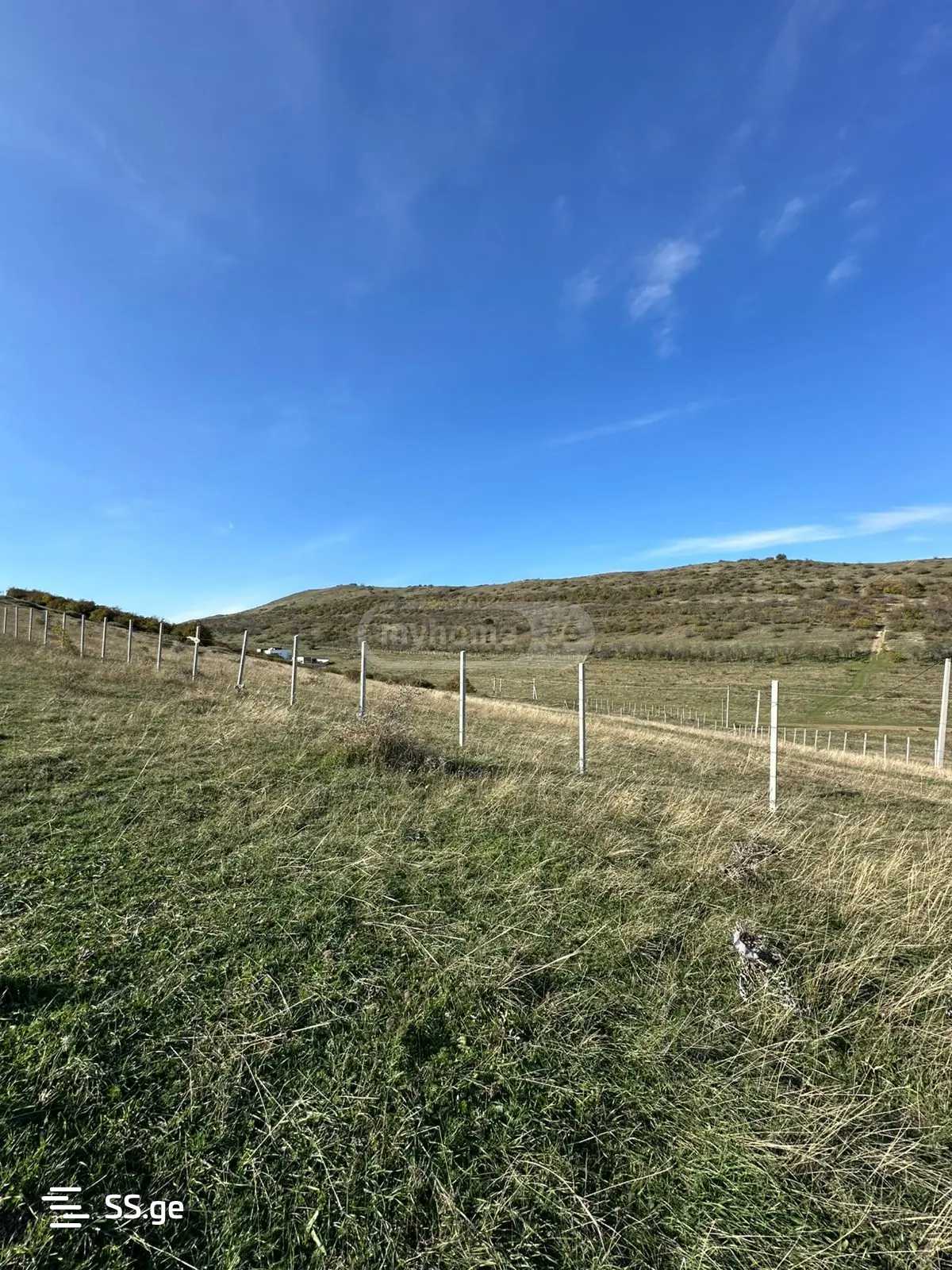 Land For Sale. Tsodoreti view 4