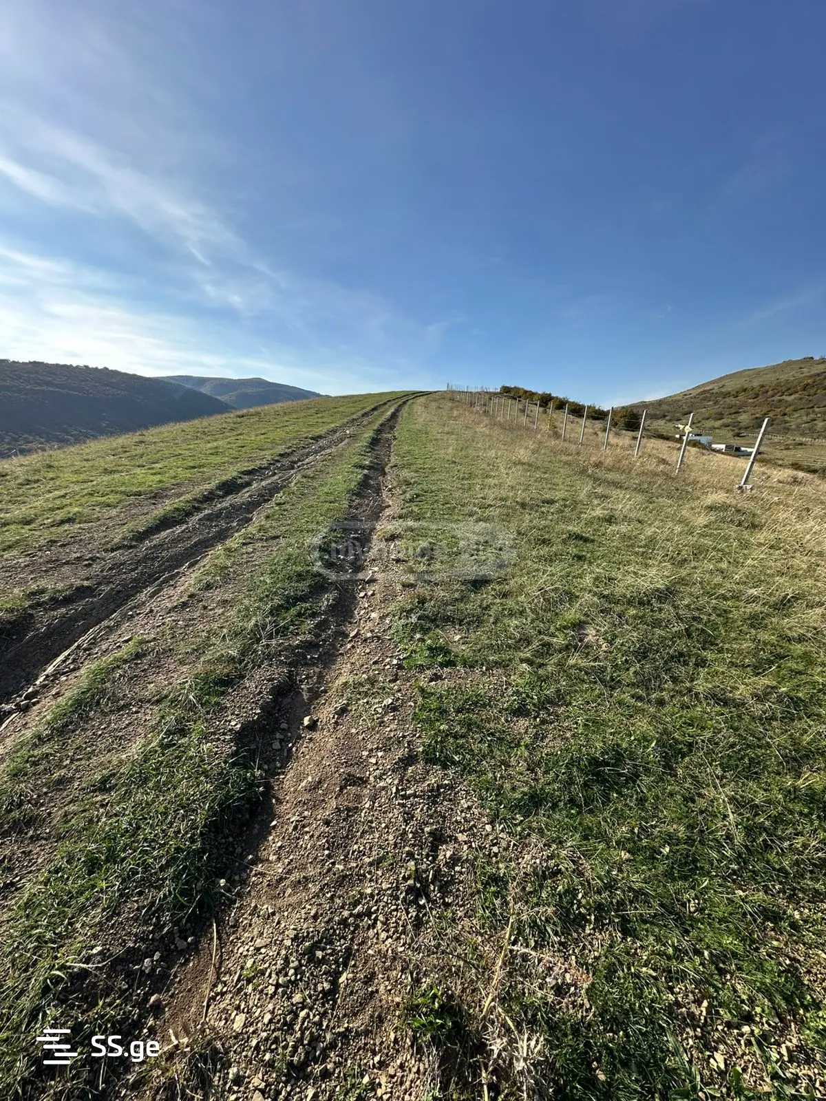 Land For Sale. Tsodoreti view 7