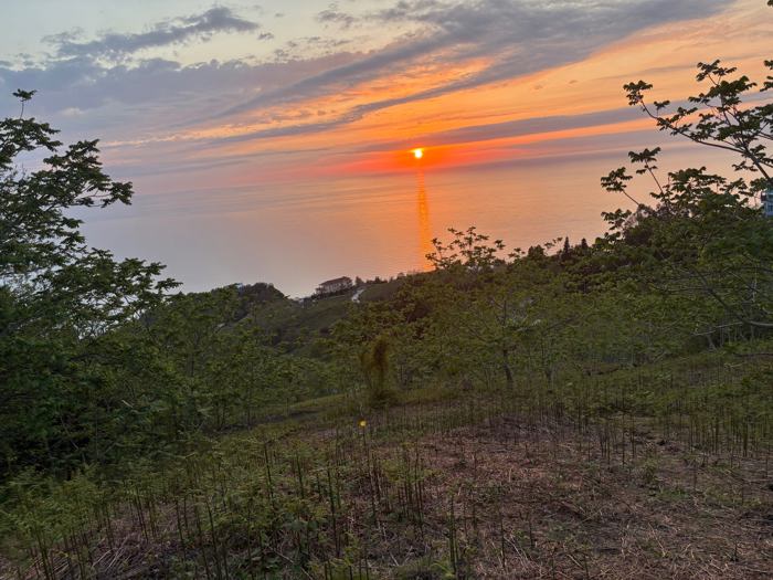 Land For Sale. Sarpi