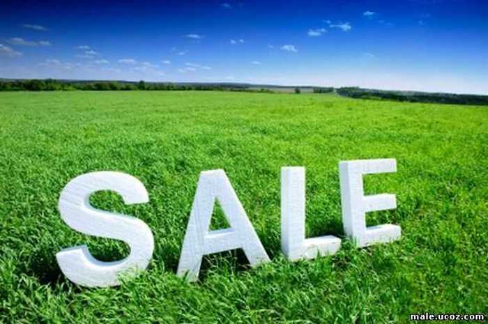 Land For Sale. Saguramo
