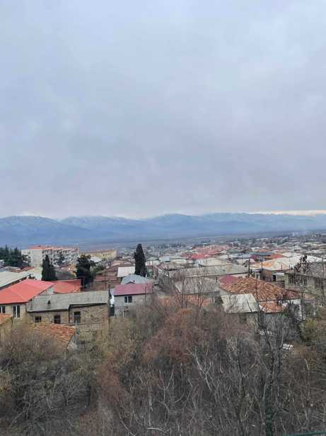 Commercial space For Sale. Telavi