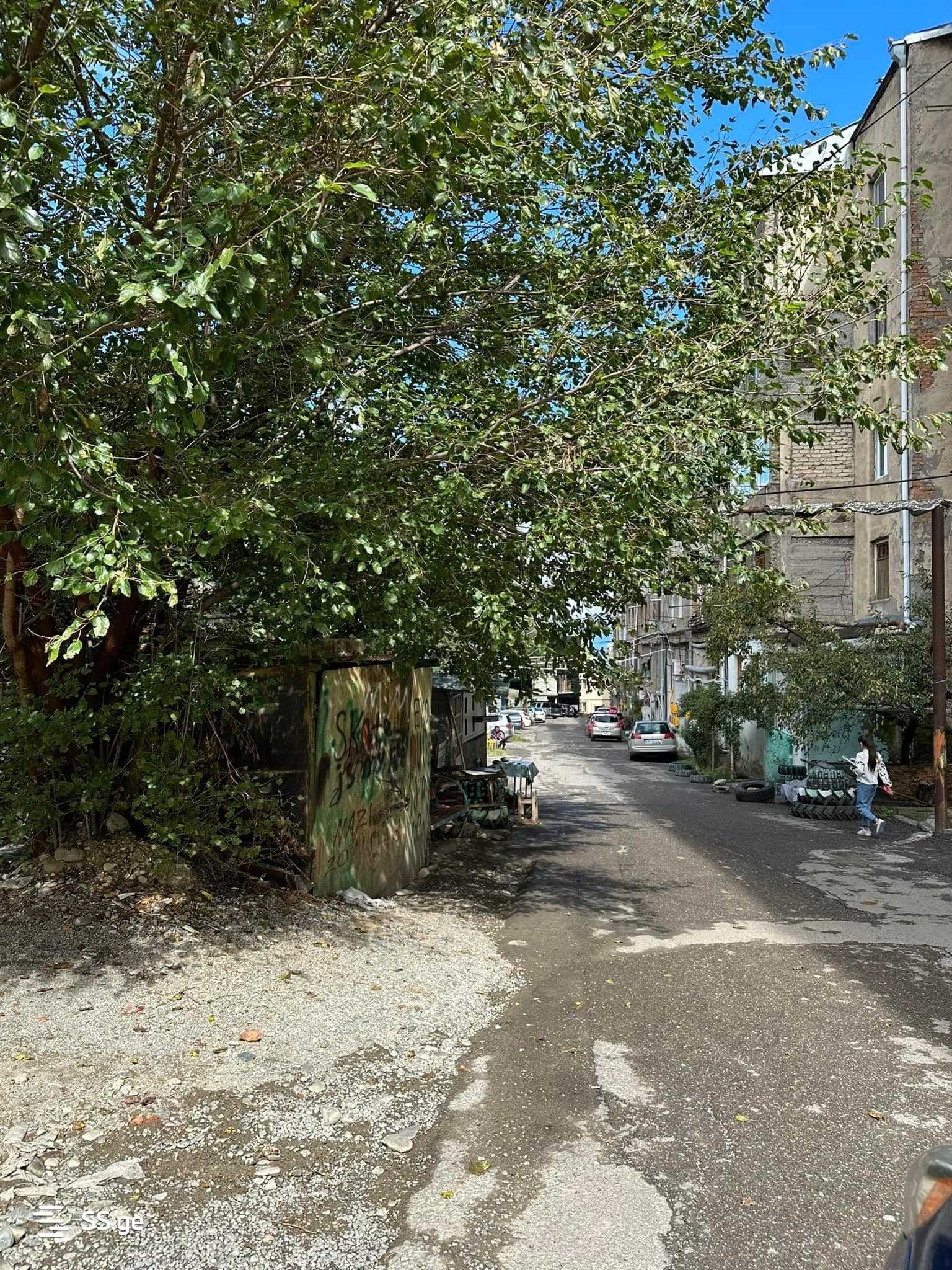 Продажа Commercial Space в Телави view 1