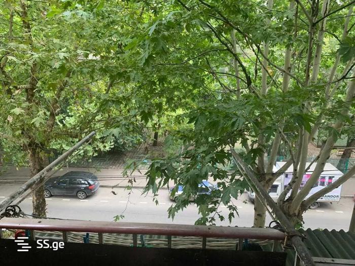 https://static.ss.ge/20260115/10_d8e56749-7ade-4208-9b11-d362e8589a31_Thumb.jpg