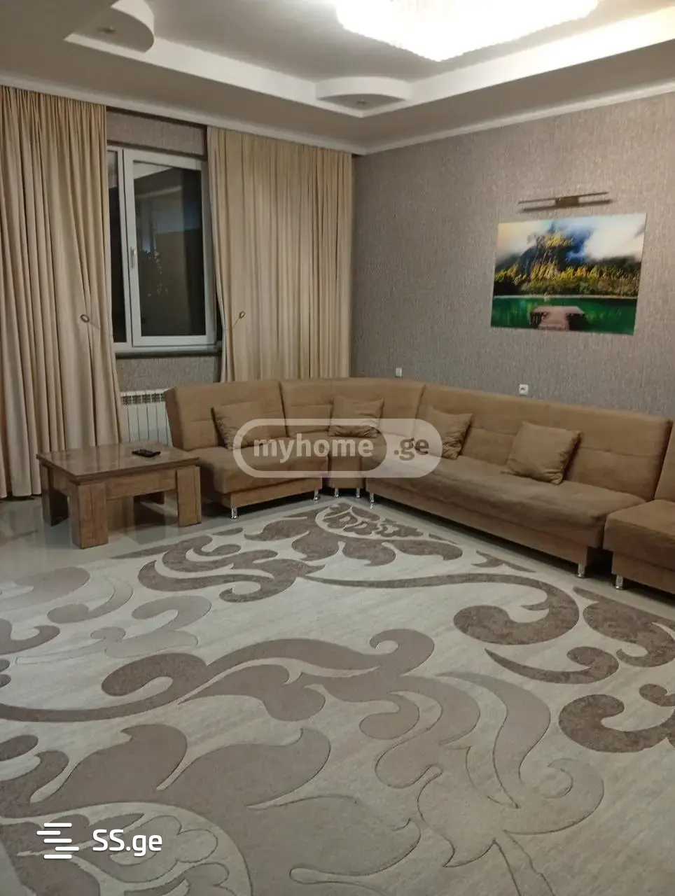 8 Room Private House For Rent. Didi Digomi view 17