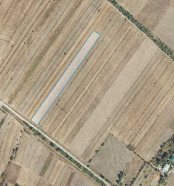 Land For Sale. Chirdileliantkari