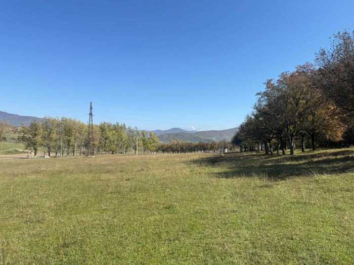 Land For Sale. Tianeti
