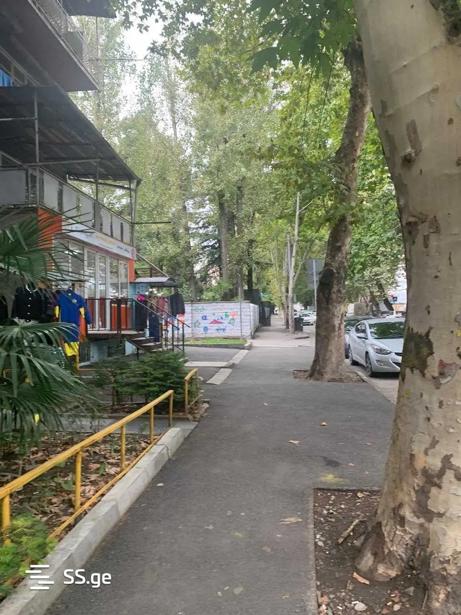 https://static.ss.ge/20260115/6_bf1ad183-6f8a-464d-99e9-9a08fe2f8945_Thumb.jpg