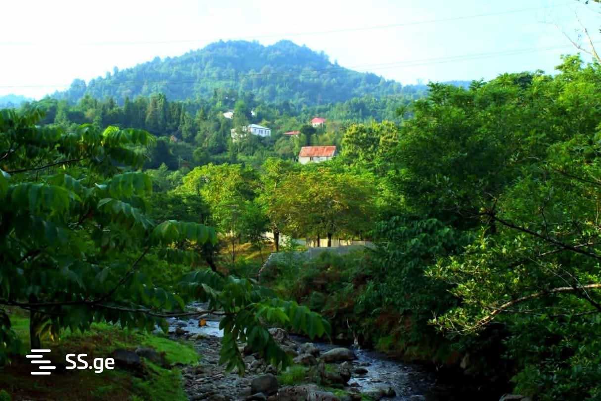 იყიდება Private House ჩაყვიში view 6