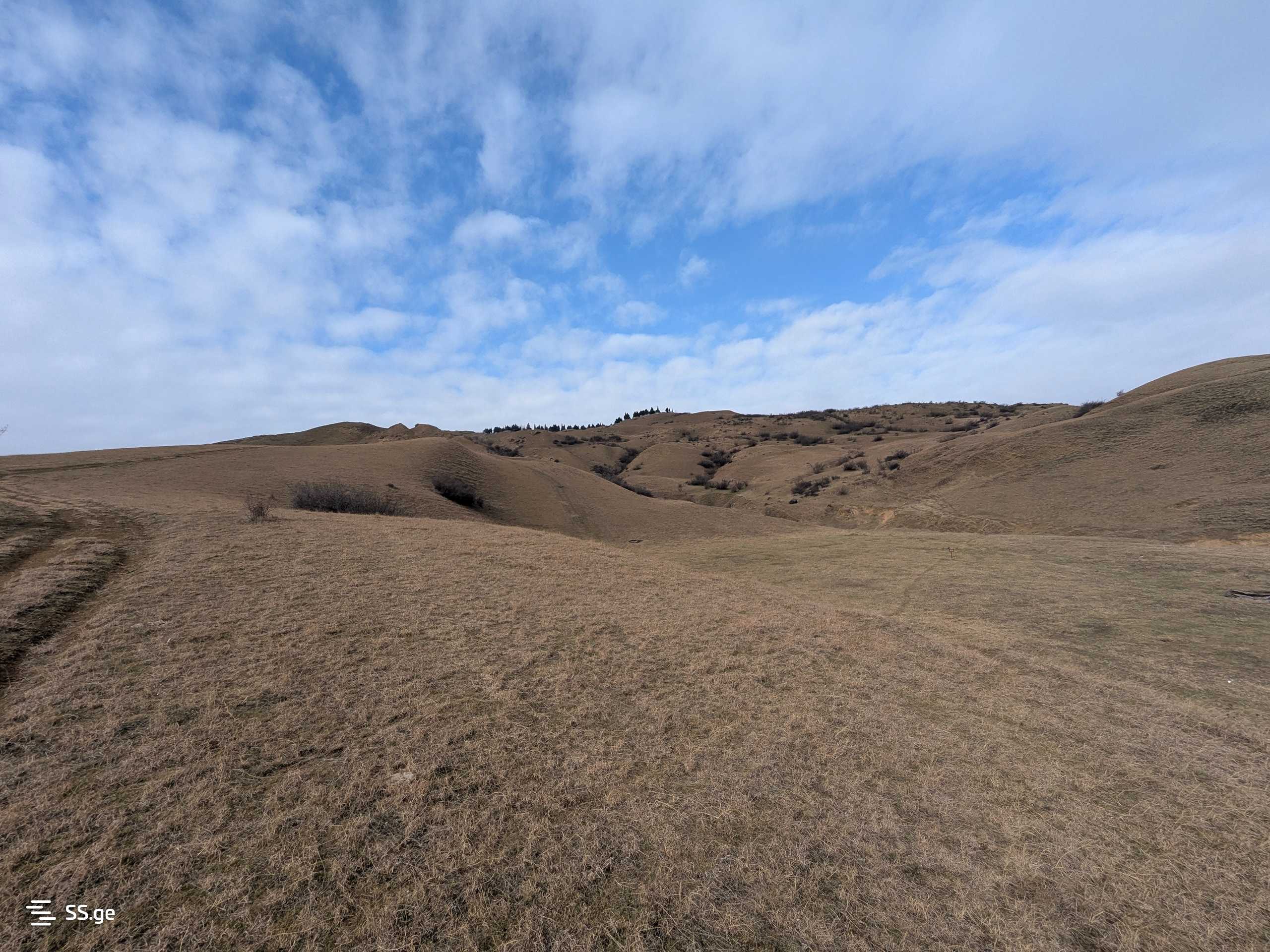 Land For Sale. Digomi village - Vista 3