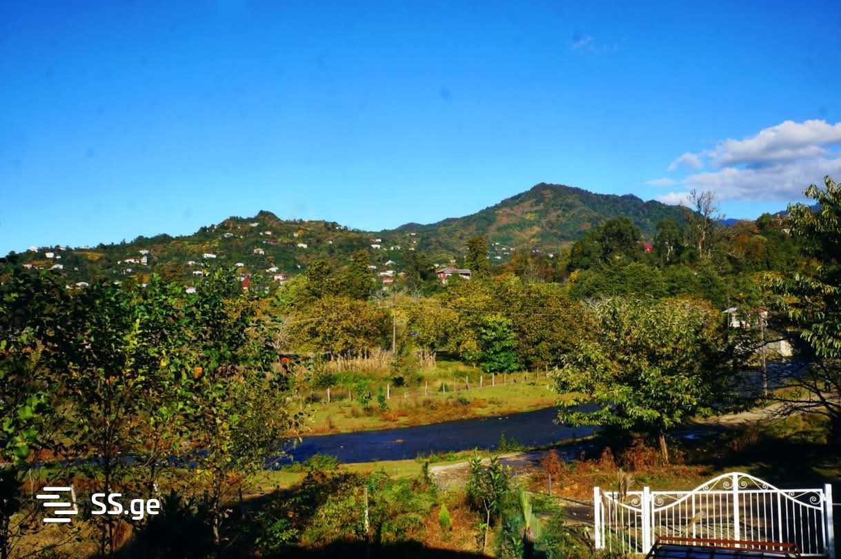 იყიდება Private House ჩაყვიში view 8