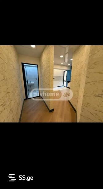 https://static.ss.ge/20260116/15_94077bcf-17b7-474d-b38e-0591b8490c18_Thumb.jpg