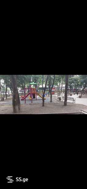 https://static.ss.ge/20260116/16_3eb3e1b5-335d-4c30-a53a-34f6c722d739_Thumb.jpg