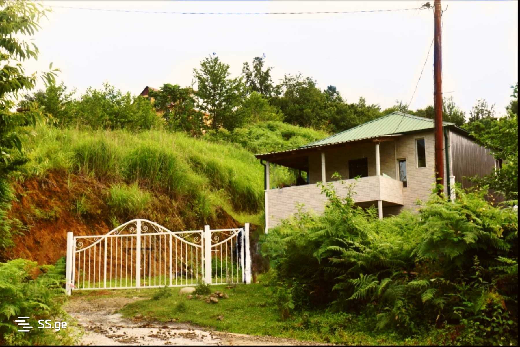 იყიდება Private House ჩაყვიში view 1