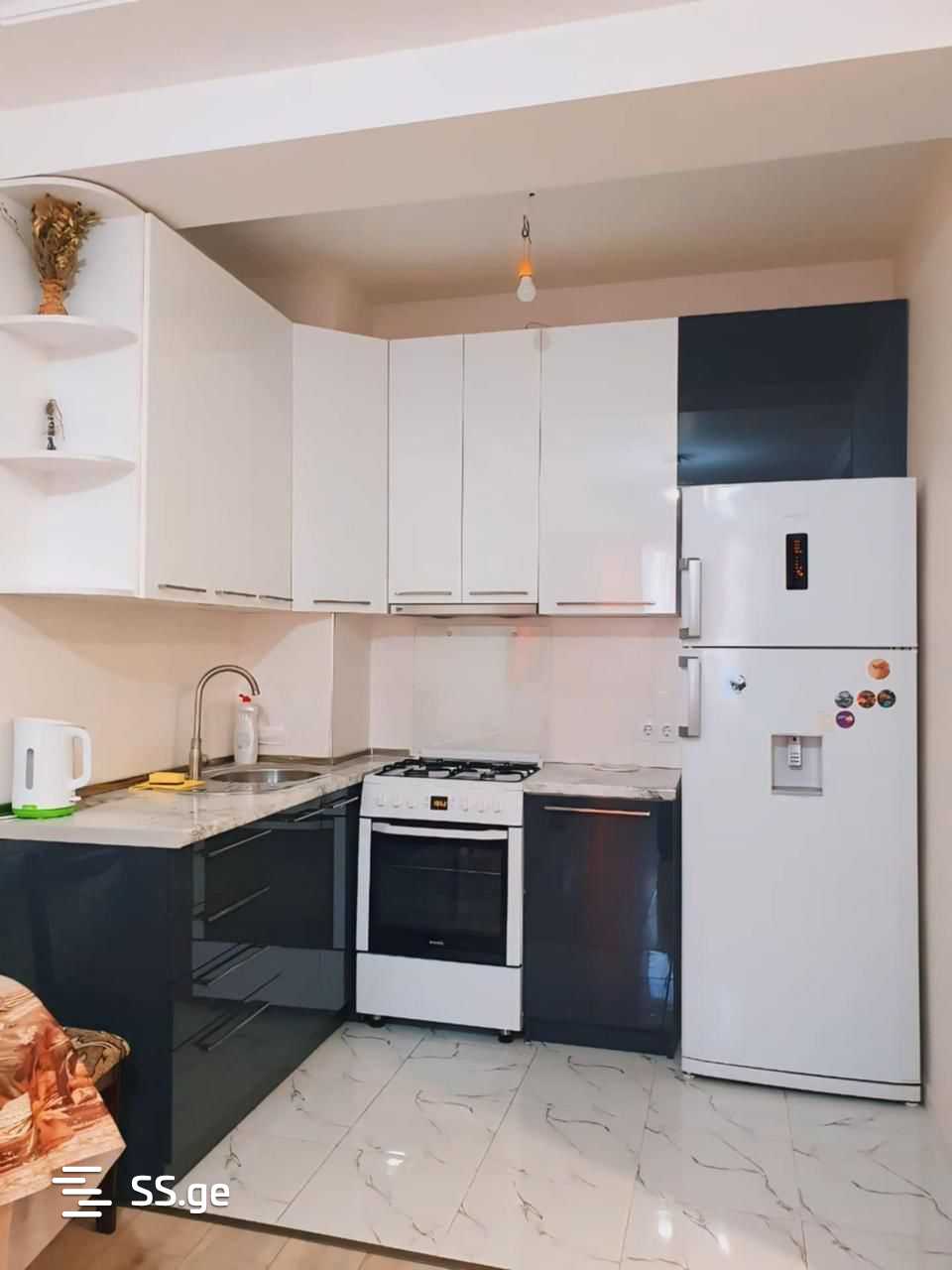 2 Room Flat Daily Rent. Didi Digomi view 10