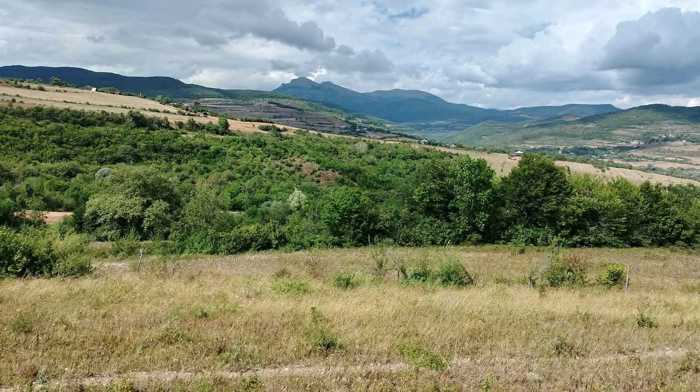 Land For Sale. Gremiskhevi