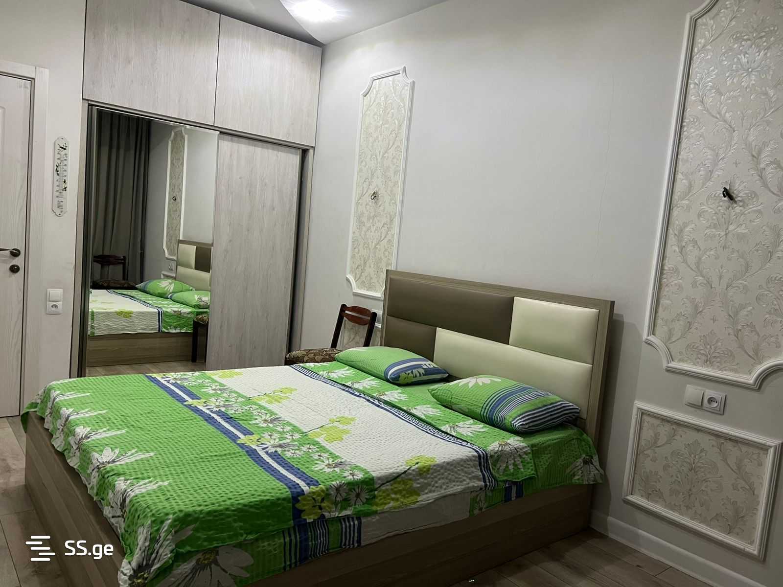 2 Room Flat Daily Rent. Didi Digomi view 2