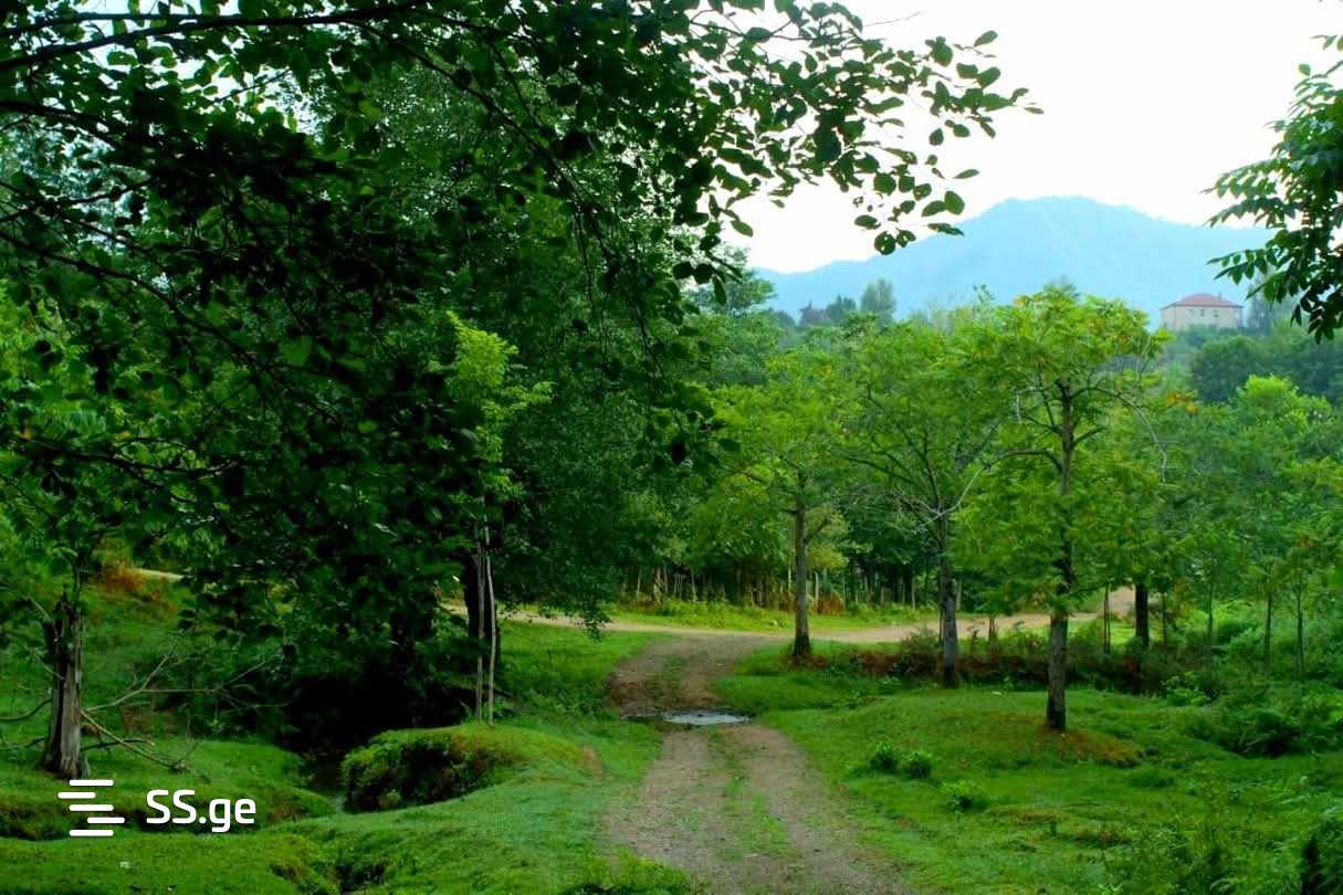 იყიდება Private House ჩაყვიში view 9