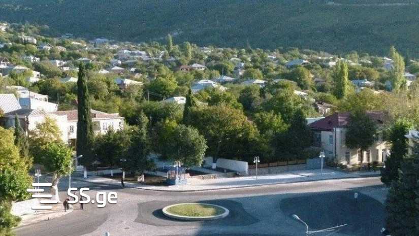 იყიდება მიწა საგარეჯოში view 1