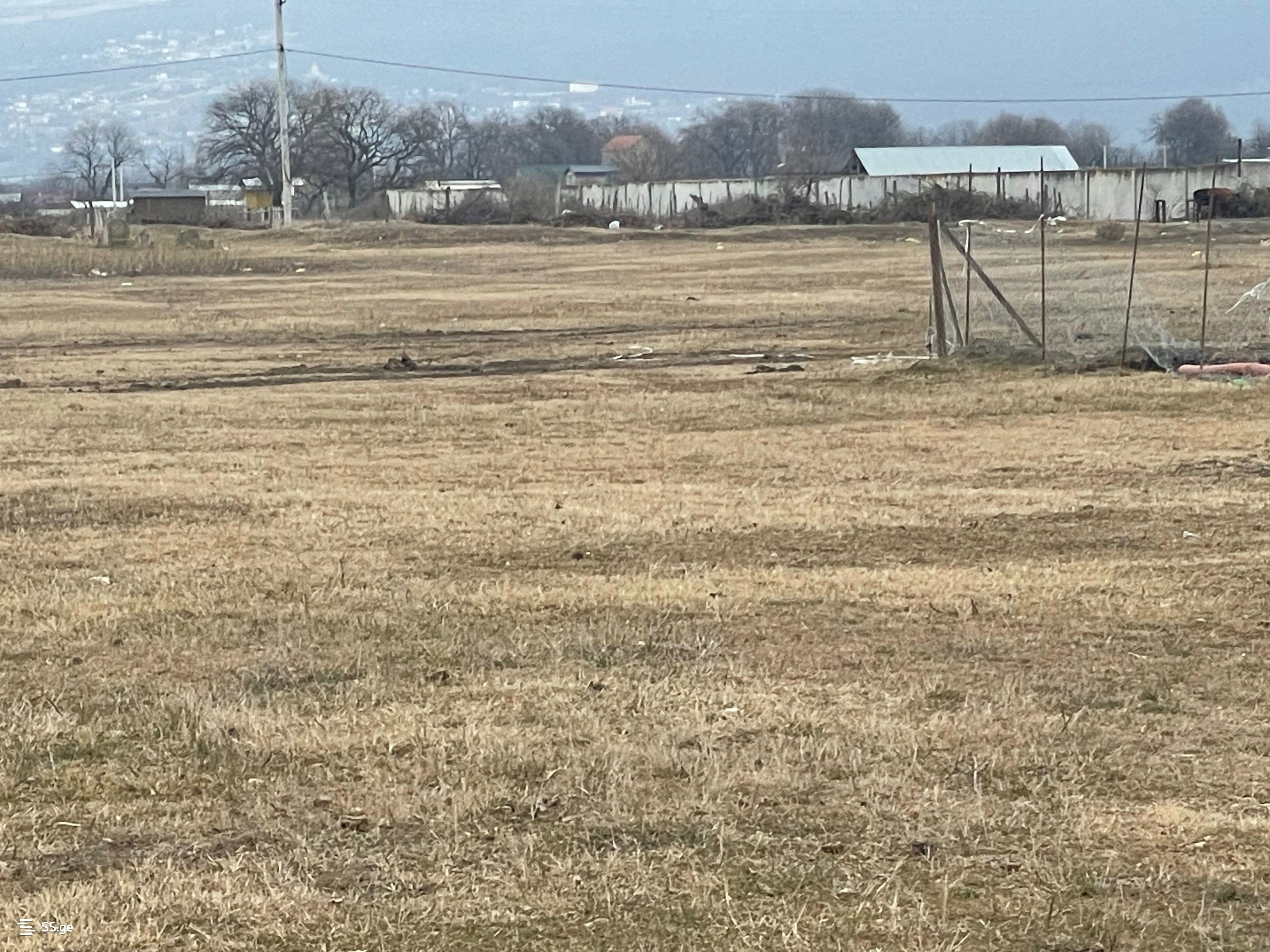 Land For Sale. Tserovani view 4