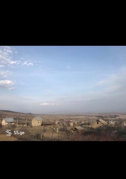 https://static.ss.ge/20260117/11_fb578d47-02b4-449e-93d9-078aa1dd1f92_Thumb.jpg