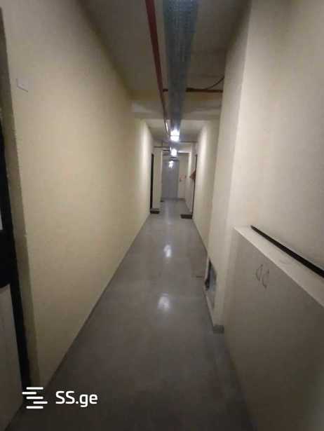 https://static.ss.ge/20260117/12_27867bb6-1234-45d7-84f5-8c5a14fdb057_Thumb.jpg