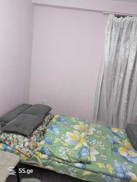 https://static.ss.ge/20260117/12_4f1ea6de-27eb-4970-a2c5-4cbdd8455396_Thumb.jpg