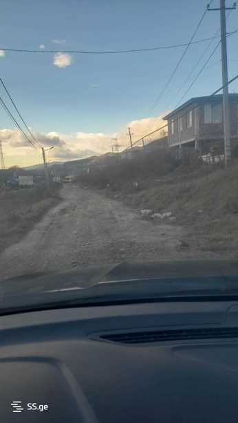 https://static.ss.ge/20260117/18_a50cf3df-0b51-4eb9-abea-52af8f55852f_Thumb.jpg