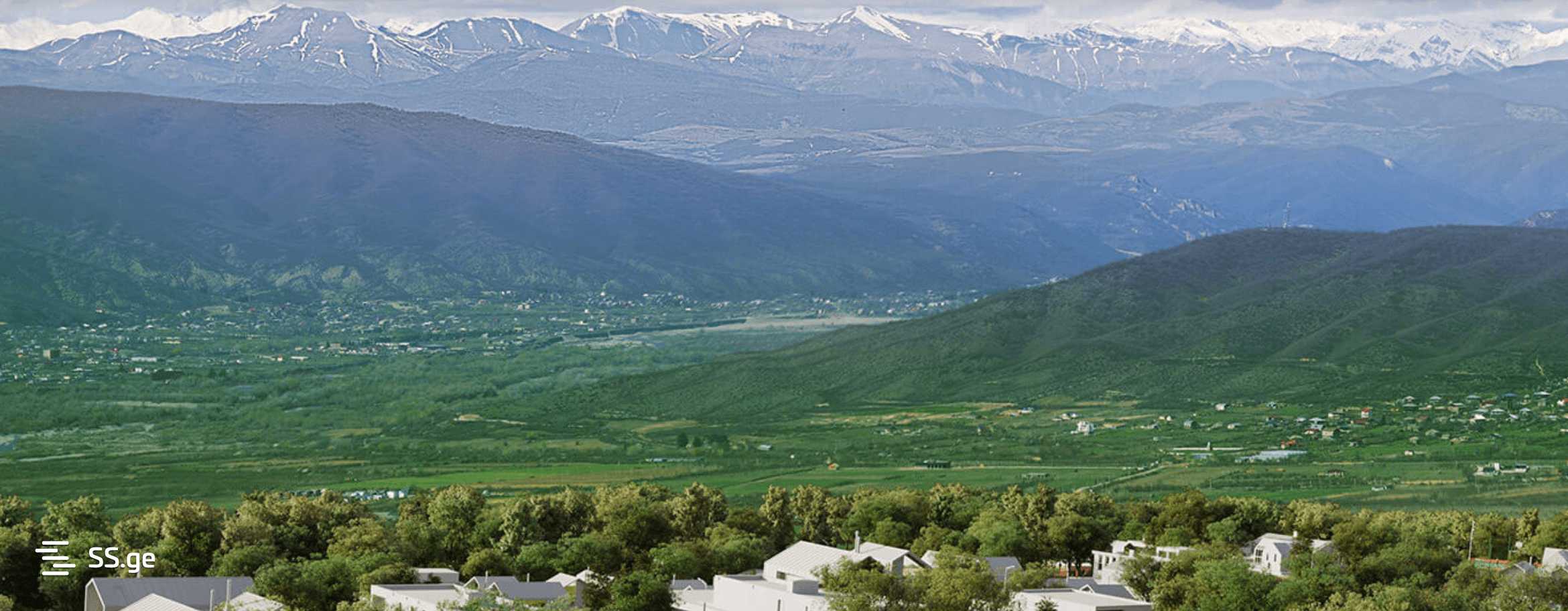Продажа Земля в сагурамо view 2