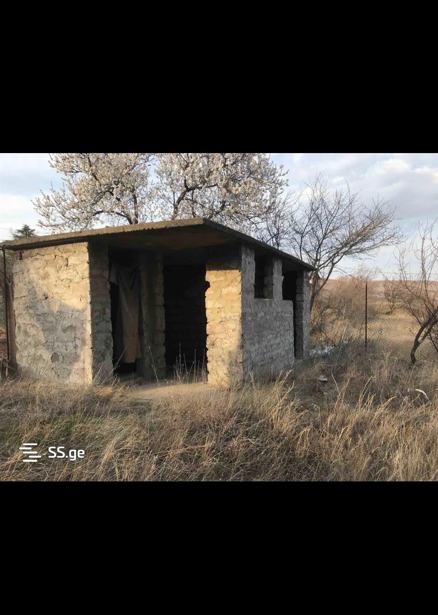 https://static.ss.ge/20260117/6_dd4247ce-dec7-4d29-b4cd-714fcc688f17_Thumb.jpg