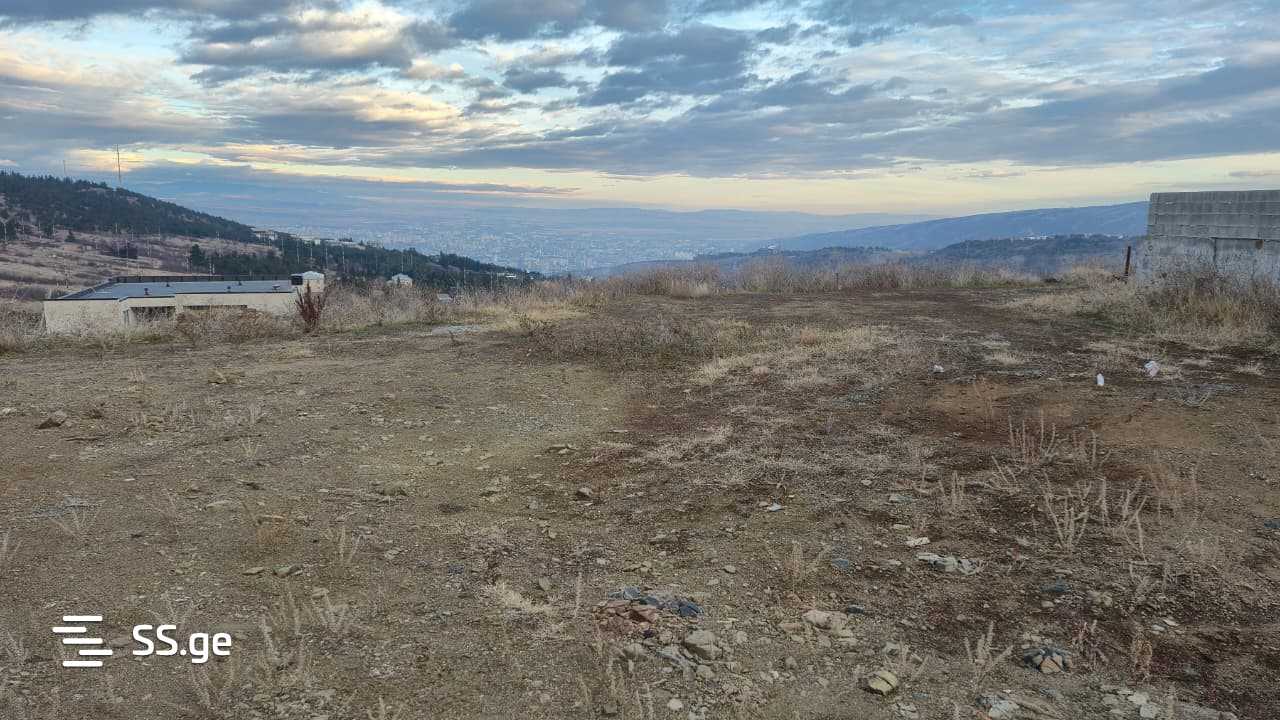 იყიდება მიწა ოქროყანაში view 3