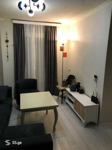 https://static.ss.ge/20260119/18_03ff41ef-351e-4ac0-823c-c7fcd6f9af73_Thumb.jpg