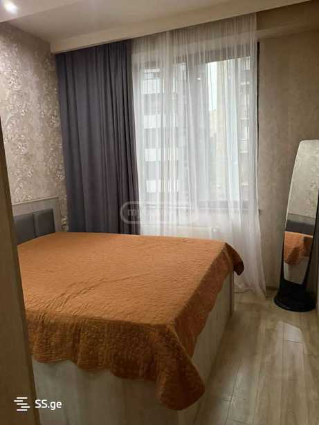 https://static.ss.ge/20260119/18_4664b848-569f-4d1c-85e0-1d3578cc5ba5_Thumb.jpg