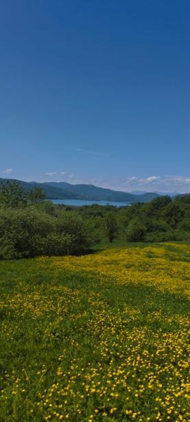 Land For Sale. Orkhevi