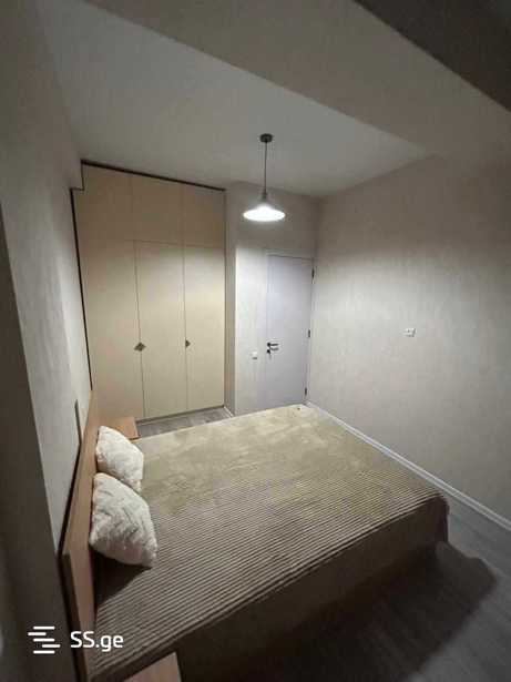 https://static.ss.ge/20260119/8_a441e0b0-d6fa-486a-8545-5c2c56275a05_Thumb.jpg