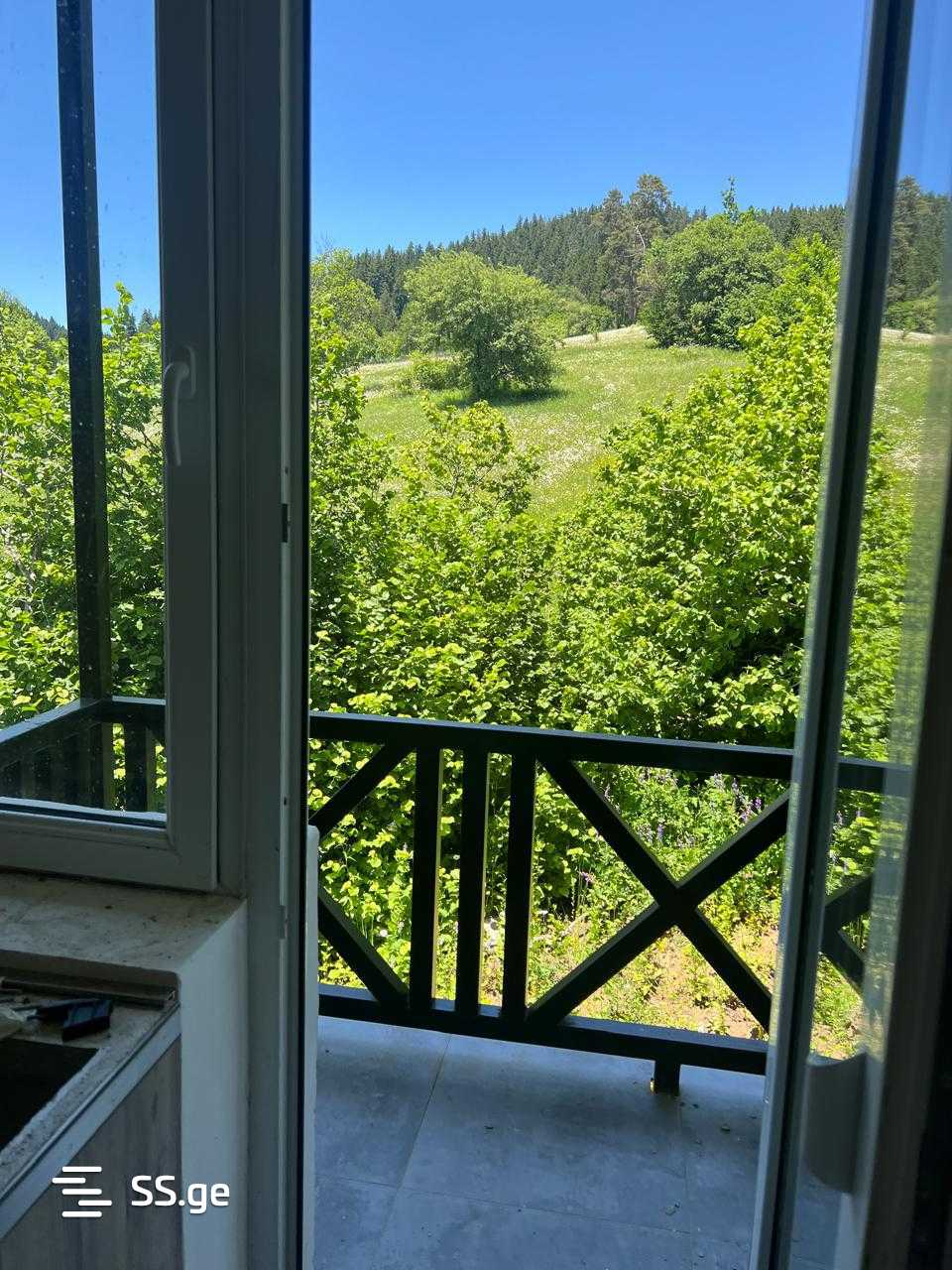 Summer Cottage For Sale. Borjomi view 10