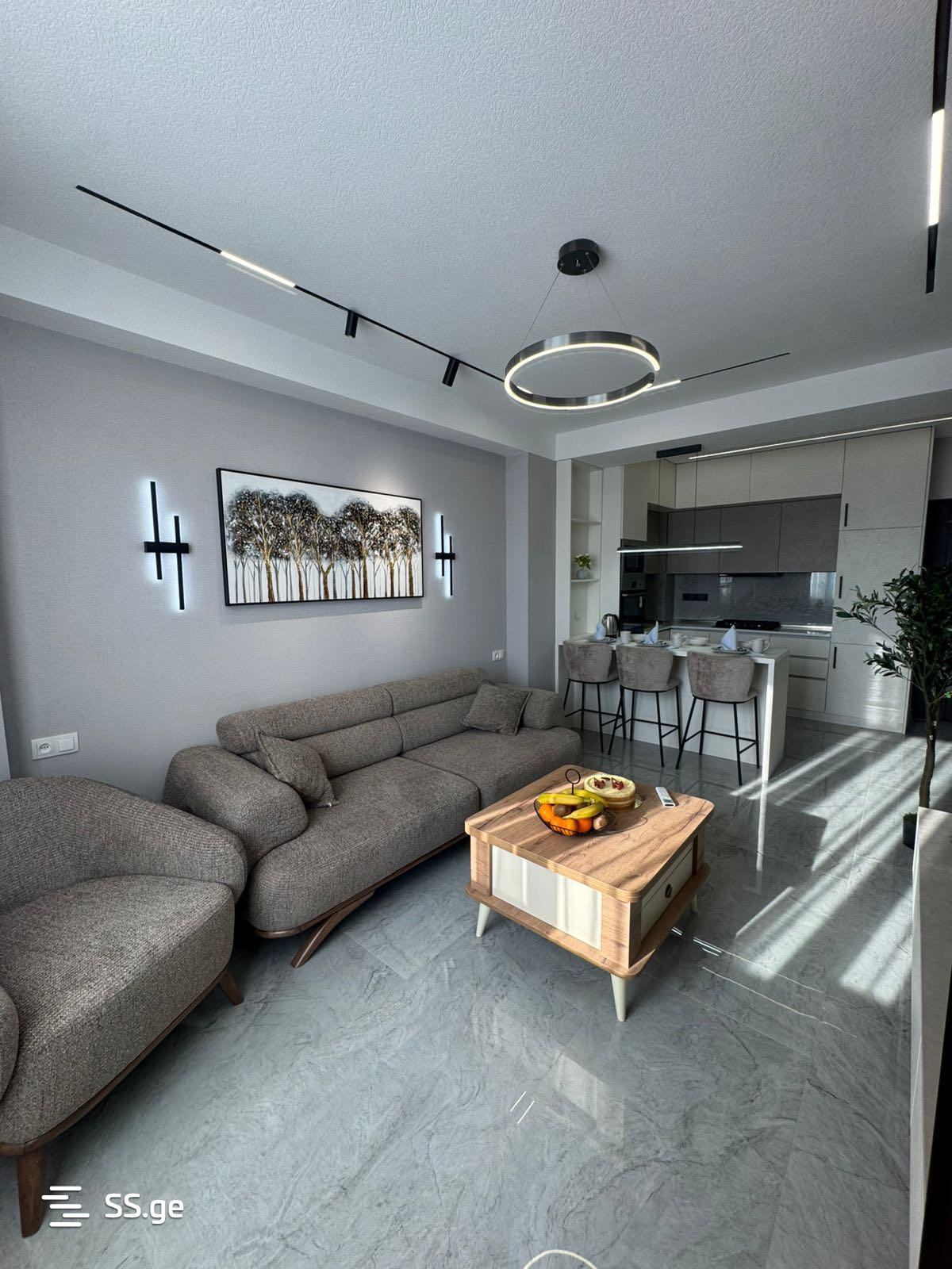2 Room Flat For Rent. Samgori, 12 of 12
