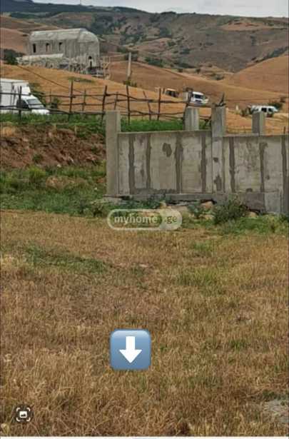 https://static.ss.ge/20260120/17_3059633a-b64f-48a1-a7ca-ed084c17005d_Thumb.jpg