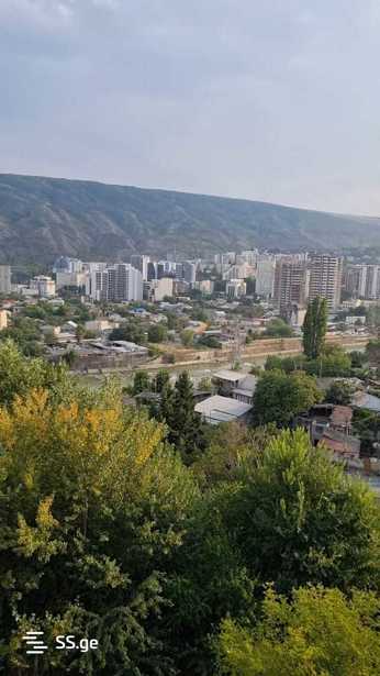 https://static.ss.ge/20260120/17_944e4730-9f7c-4321-ac9b-872b37198f16_Thumb.jpg