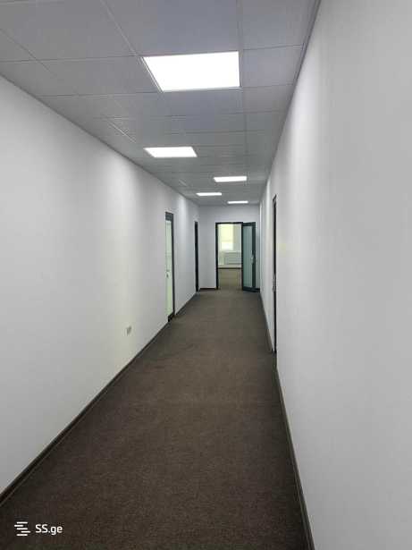 https://static.ss.ge/20260120/1_dd2fa052-8db1-4169-8634-ecd168961212_Thumb.jpg