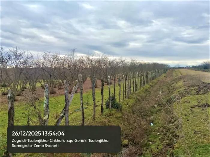 Land For Sale. Tsalenjikha