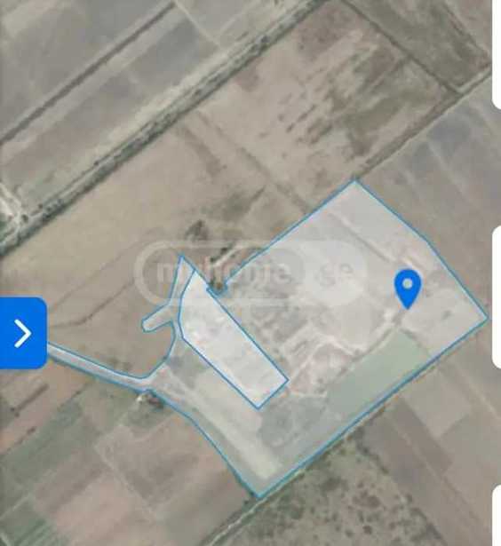 Land For Sale. Telavi