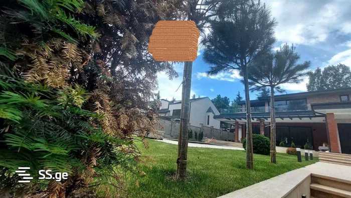 https://static.ss.ge/20260120/6_dbc46ec3-a719-41ba-929f-9c04eedffc73_Thumb.jpg