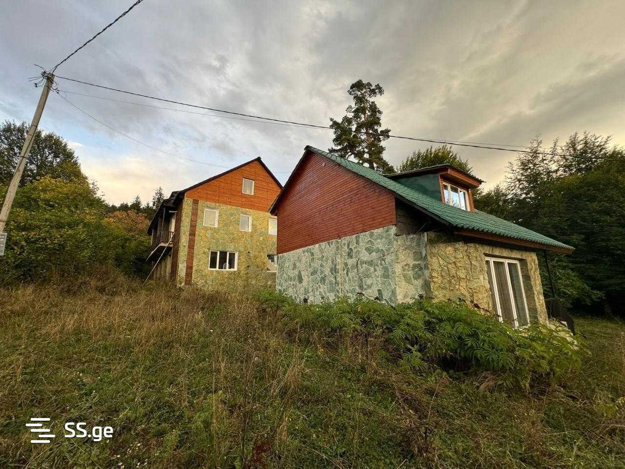 Summer Cottage For Sale. Borjomi view 11