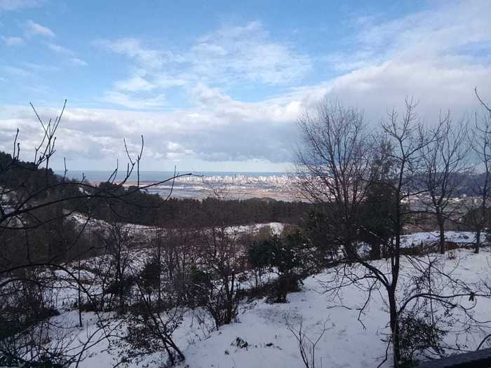 Land For Sale. Tkhilnari