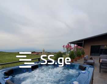 6 Room Summer Cottage Daily Rent. Tabakhmela view 4