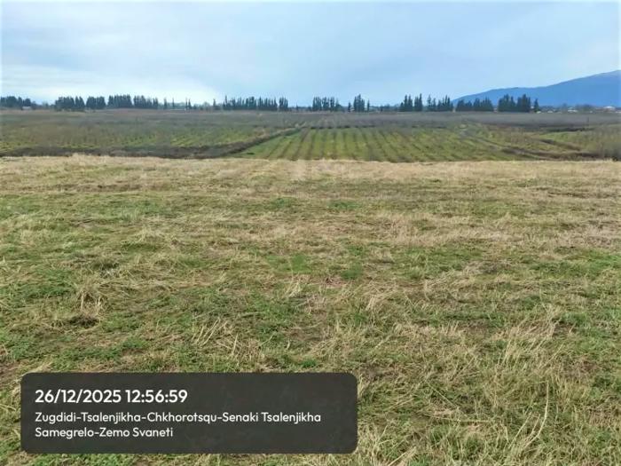 Land For Sale. Tsalenjikha